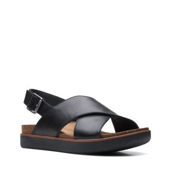 Elayne Cross - Black Leather